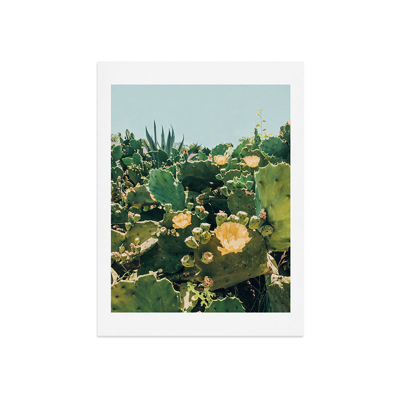 A Field of Prickly Pear Cactus Art Print