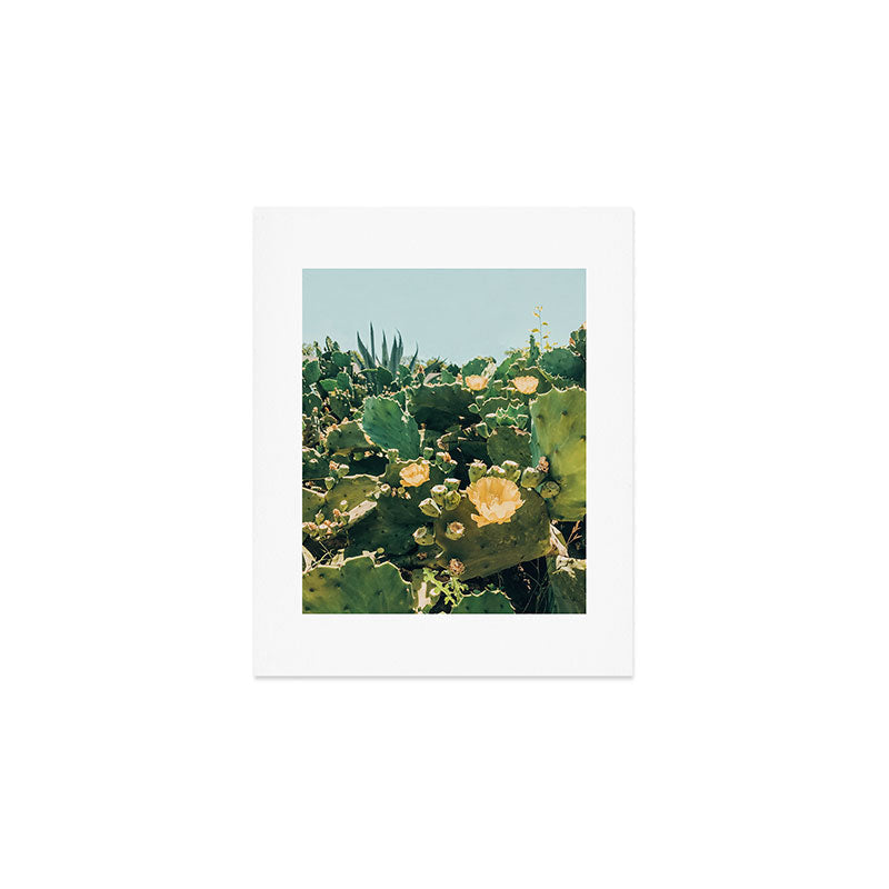A Field of Prickly Pear Cactus Art Print