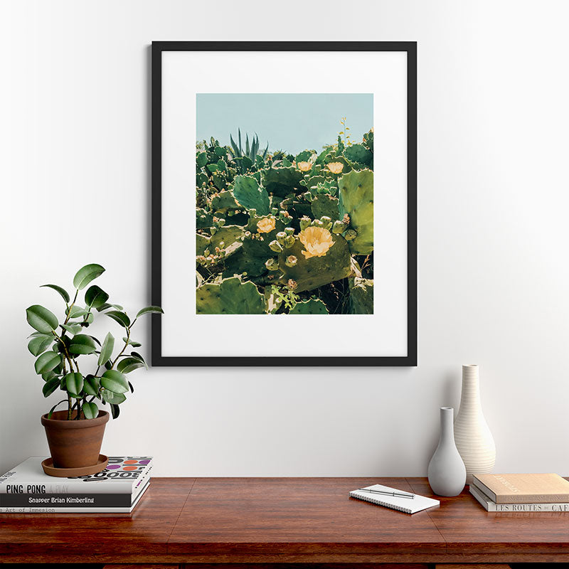 A Field of Prickly Pear Cactus Framed Art Print