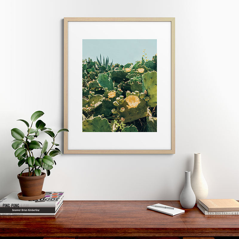 A Field of Prickly Pear Cactus Framed Art Print