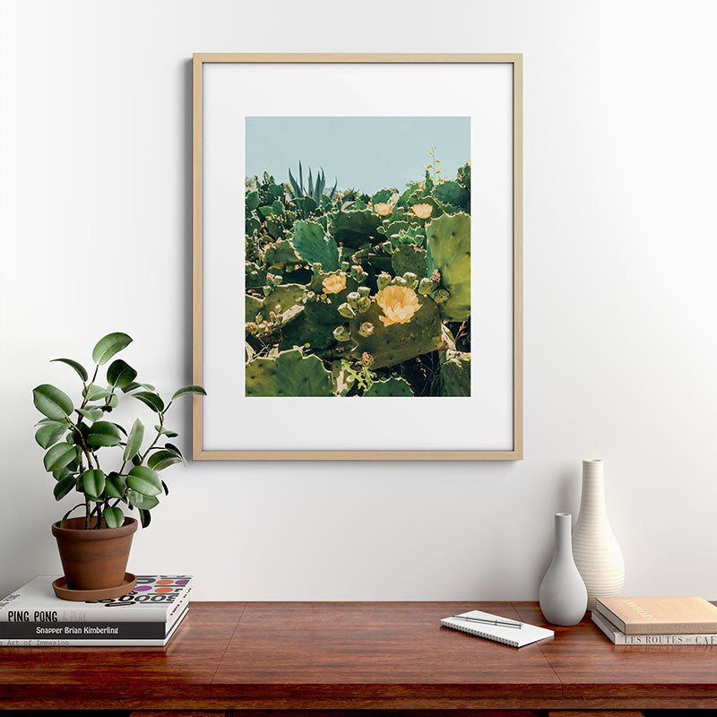 A Field of Prickly Pear Cactus Framed Art Print