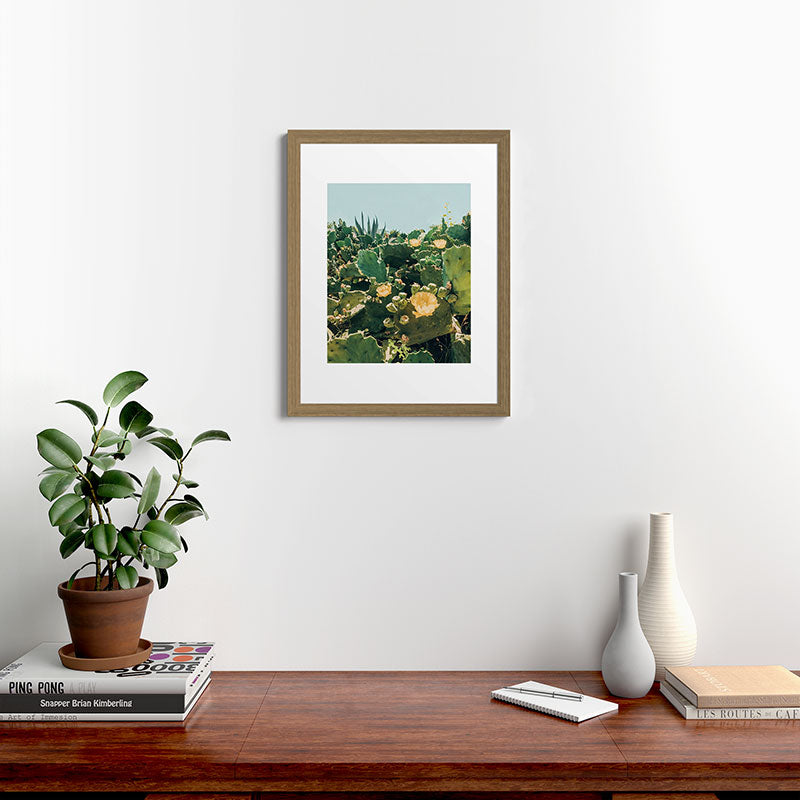 A Field of Prickly Pear Cactus Framed Art Print