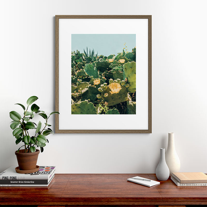 A Field of Prickly Pear Cactus Framed Art Print