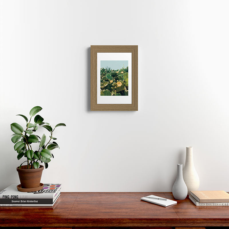 A Field of Prickly Pear Cactus Framed Art Print