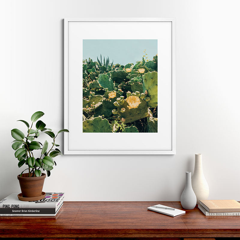A Field of Prickly Pear Cactus Framed Art Print