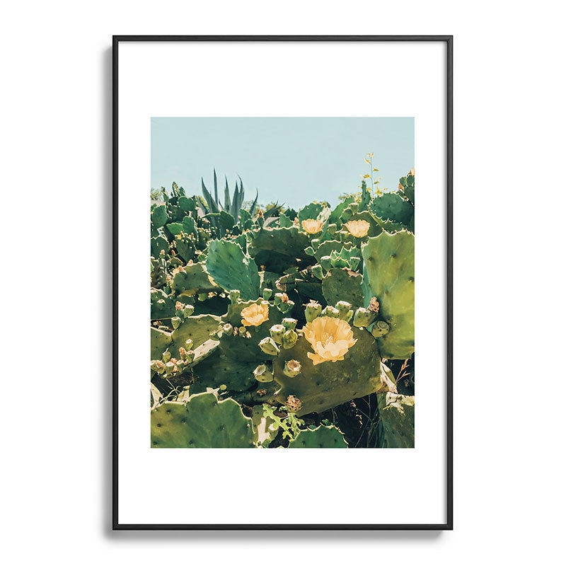 A Field of Prickly Pear Cactus Framed Art Print