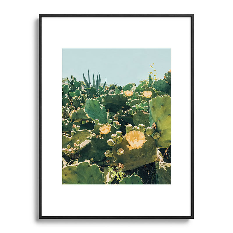 A Field of Prickly Pear Cactus Framed Art Print