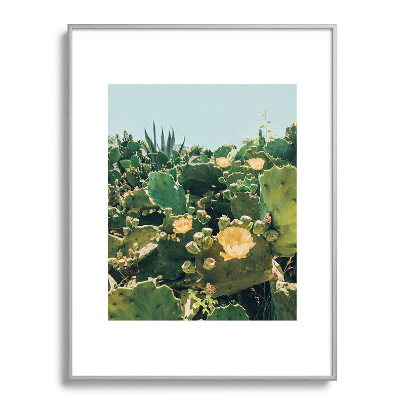A Field of Prickly Pear Cactus Framed Art Print