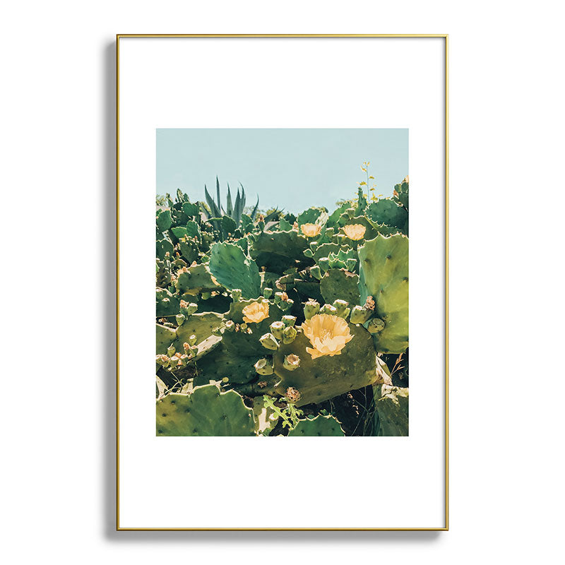 A Field of Prickly Pear Cactus Framed Art Print