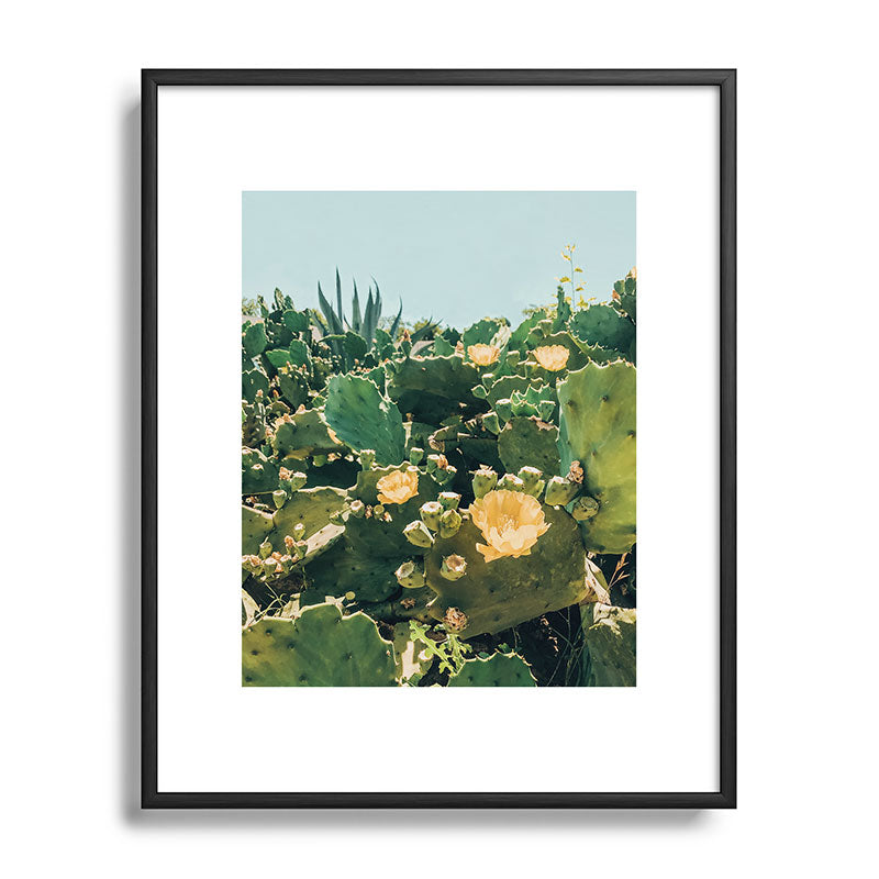 A Field of Prickly Pear Cactus Framed Art Print