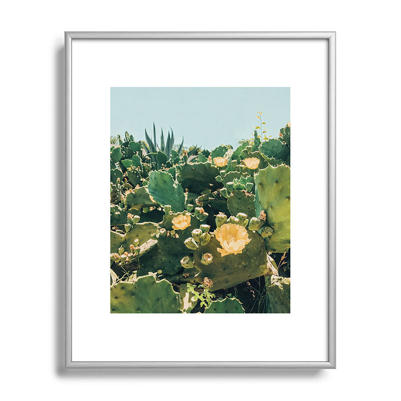 A Field of Prickly Pear Cactus Framed Art Print